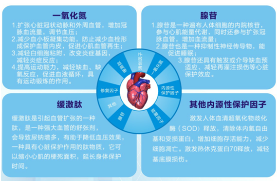 2024新澳门原料站